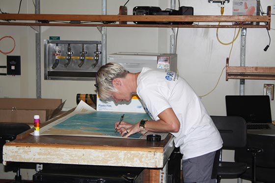 lisa at work